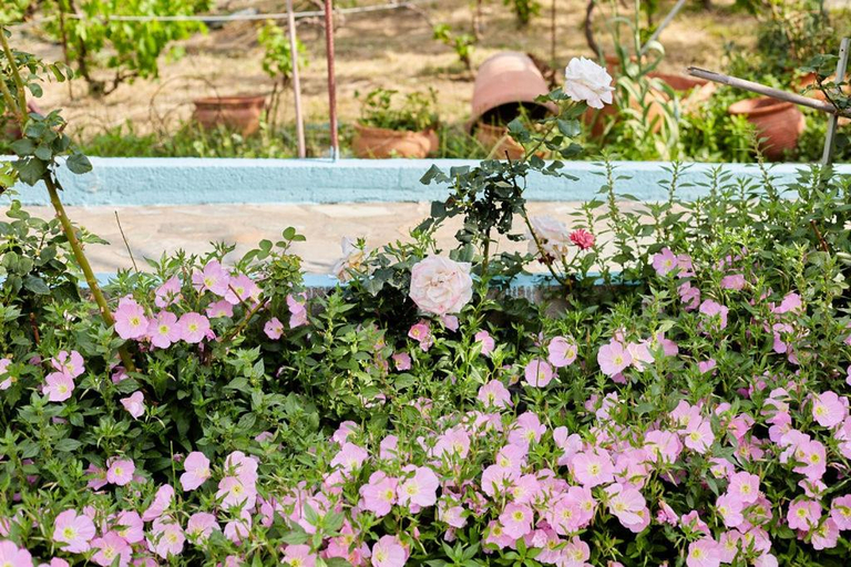 Sport & Beauty, Nana's Guesthouse, North Aegean