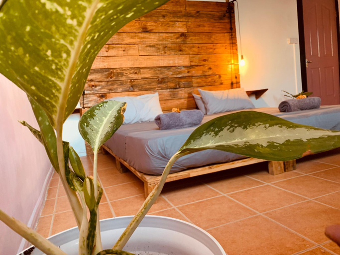 Bedroom 2, Bon Vivant Front de Mer - Ile Rodrigues, Flacq