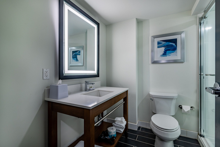 Bathroom 3, Four Points by Sheraton Brunswick, Glynn