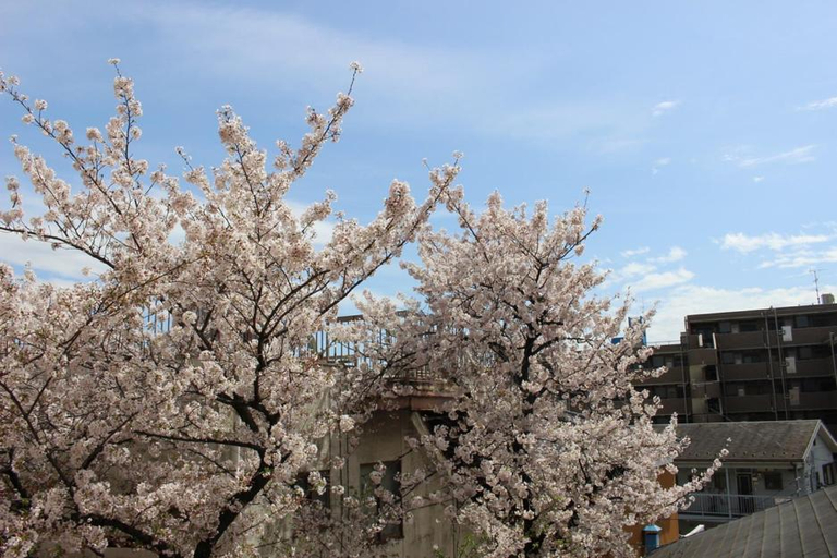 Exterior & Views, ビジネス旅館 越後家, Sōka