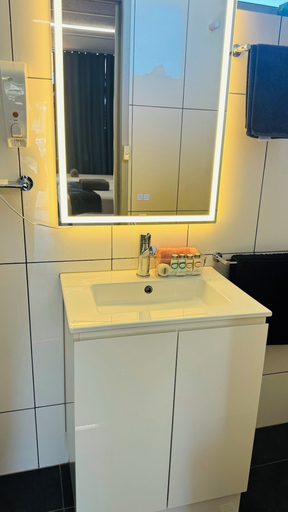 Bathroom 4, Comfortinn motel, Inglewood