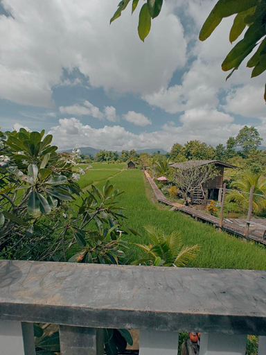 Scenery 10