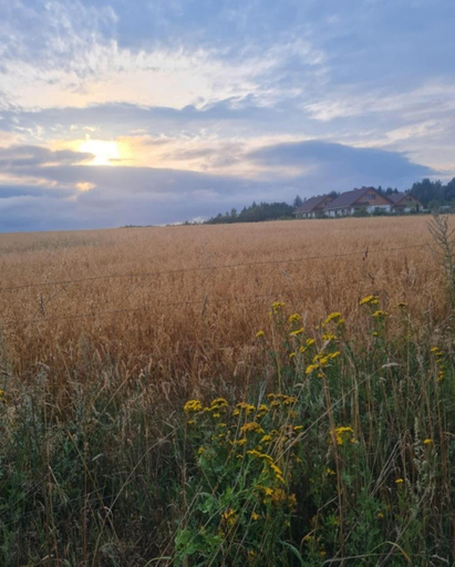 Others 5, Zielony-Bursztyn, Słupsk