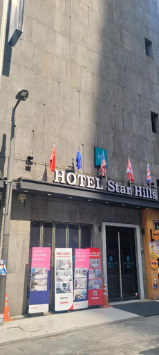 Namdameun Market Center Star Hills Hotel, Jung