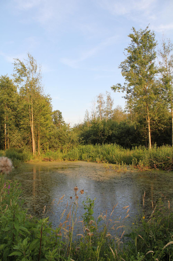 Others 4, Agroturystyka Nowa Wolka, Łęczna