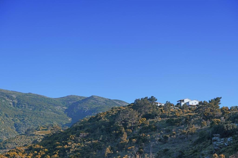 Others 3, Foto Studios, North Aegean
