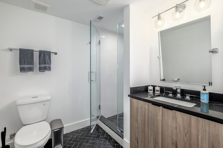 Bathroom, Capitol Hill Suites - Unit 3, Washington D.C.