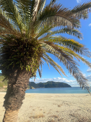 Others 4, ATASHIKADAYS Kumano-Kodo Beachfront B&B Hostel, Kumano