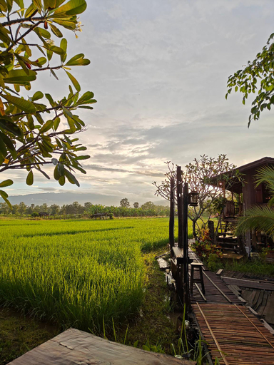 Scenery 13