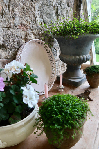 Others 5, La Grenouillere, Dordogne