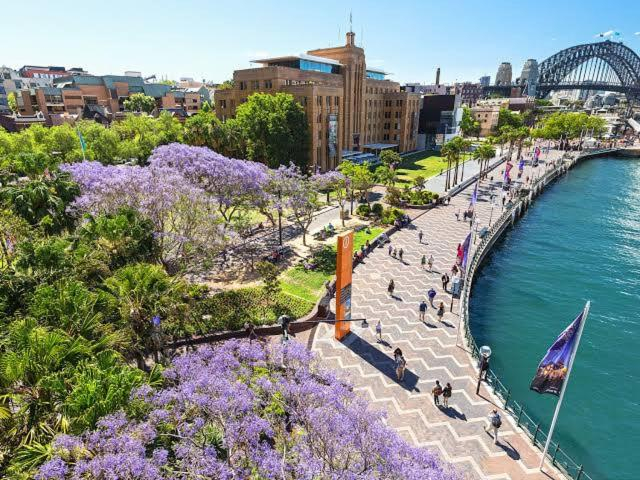 Embrace city conveniences, Sydney