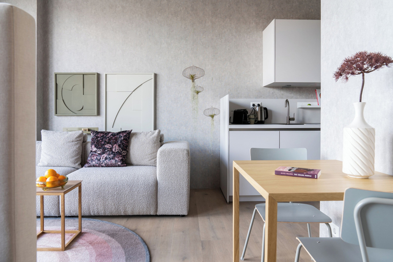 Others 5, 348 Suites Buitenhof Short Stay, The Hague