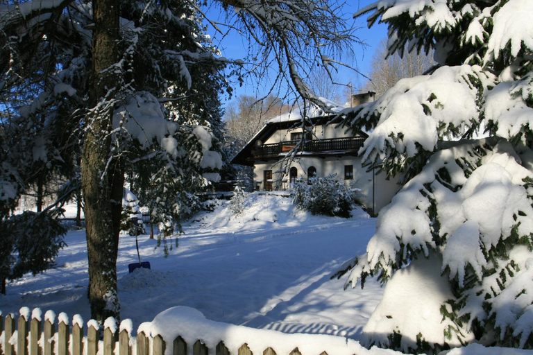Others 5, Dolina Rastoki, Cieszyn