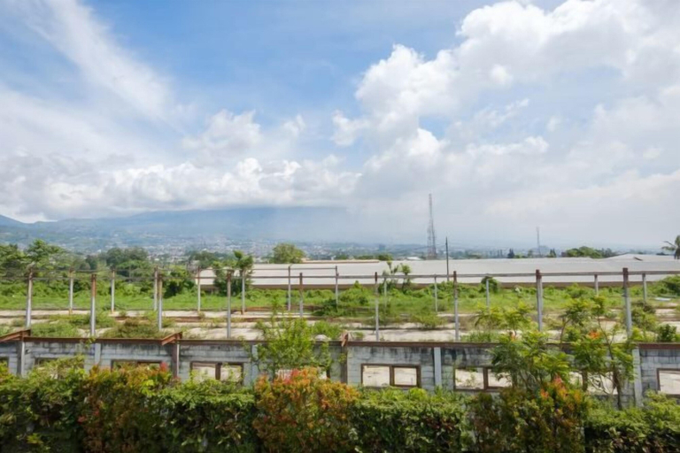 Scenery 25