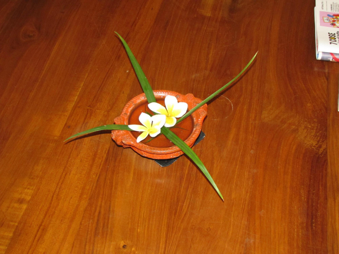 Others 5