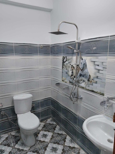 Bathroom 3, Farida Djorf Palce, Luxor