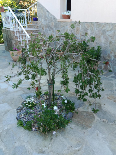 Others 4, Les Espaces de Furiani, Haute-Corse
