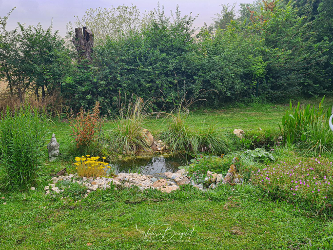 Others 4, Le Petit Pre, Nièvre