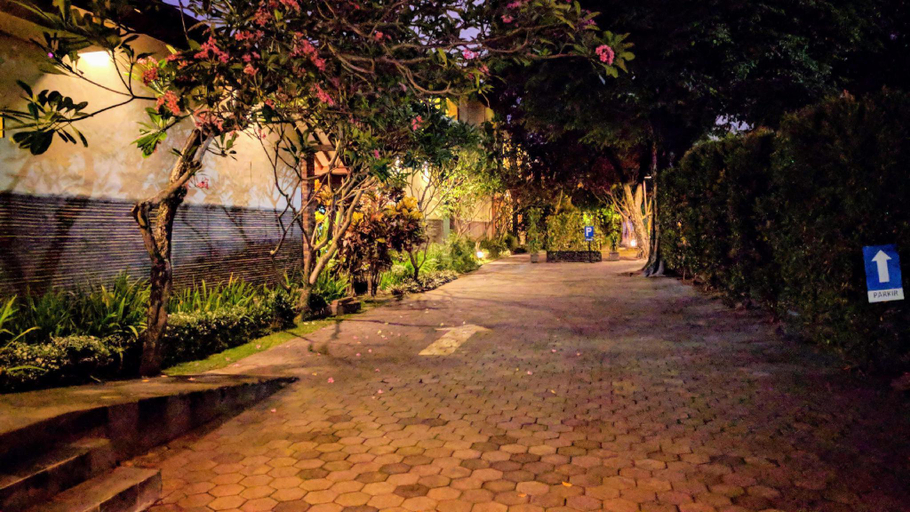 Scenery 10