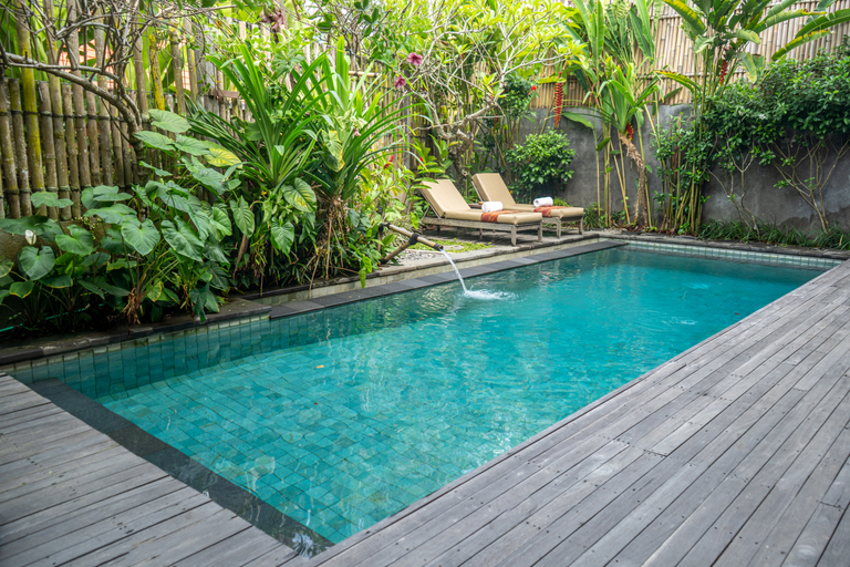 Swimming Pool 19