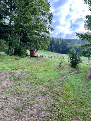 Others 5, La barrique, Vosges