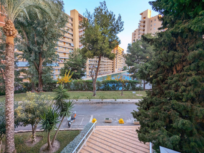 Others 2, Bruselas 23, Alicante