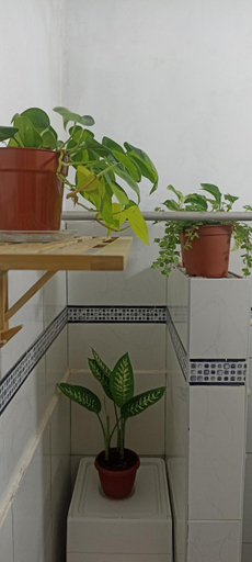 Bathroom, Casita Libertad Barranco, Lima