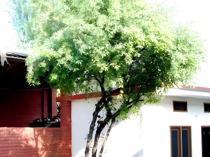Chandra Hill Resort, Pali