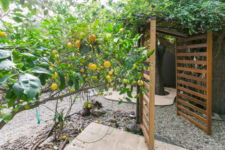 Others 4, Charming 1-Bedroom Home near Downtown Culver, Los Angeles