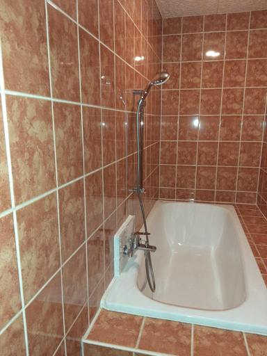 Bathroom 2, Blue Home, Zwickau