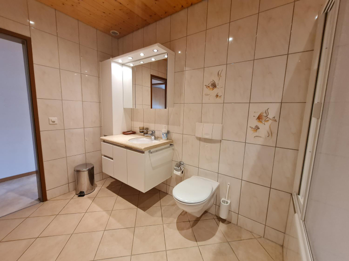 Bedroom 5, Dachwohnung in Welschenrohr, Thal