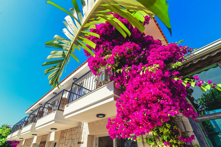 Exterior & Views 1, Ruzgargulu Otel, Çeşme