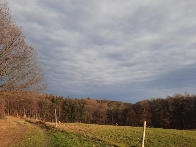 5, Erholungsheim im Wienerwald, Wien Umgebung