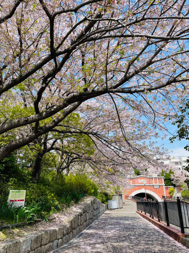 KOBE coffee hostel, Kobe