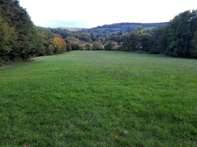 2, Erholungsheim im Wienerwald, Wien Umgebung