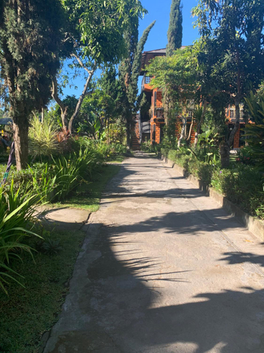 Scenery 19