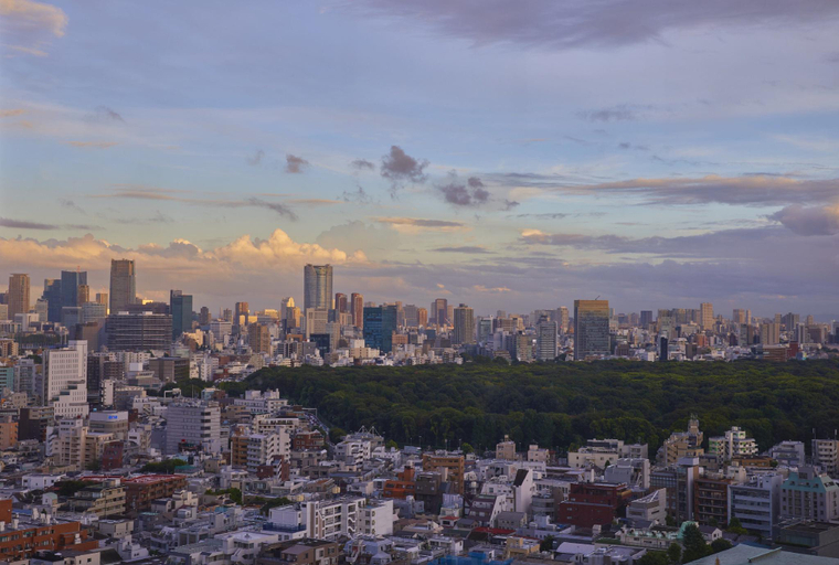 Scenery 7