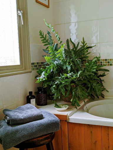 Bathroom, Garden View Apartment, Shropshire