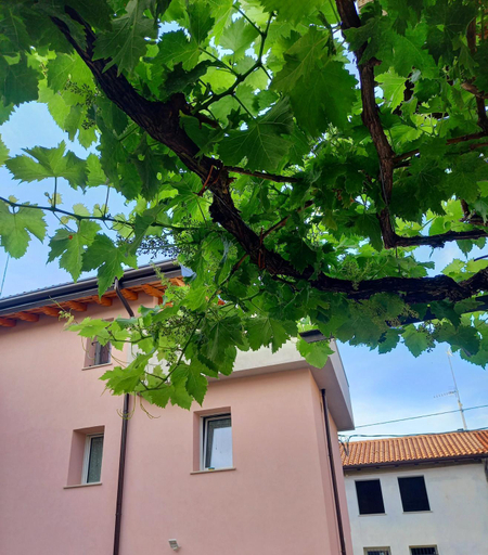 Exterior & Views 1, B&B La dolce Vite, Gorizia