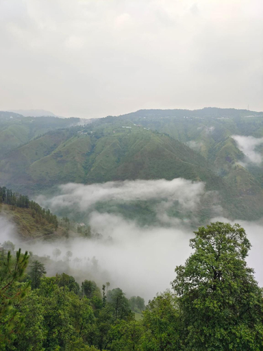 Others 5, Little Heart Resort, Shimla