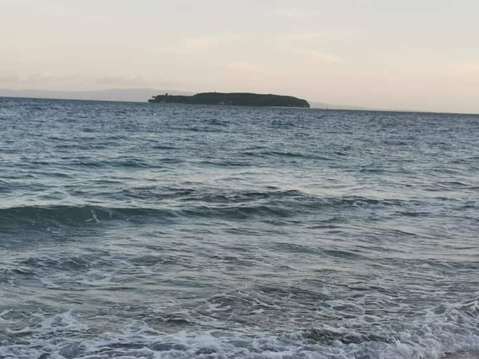 Exterior & Views 2, Island Front Bangcogon Resort and Restaurant, Oslob