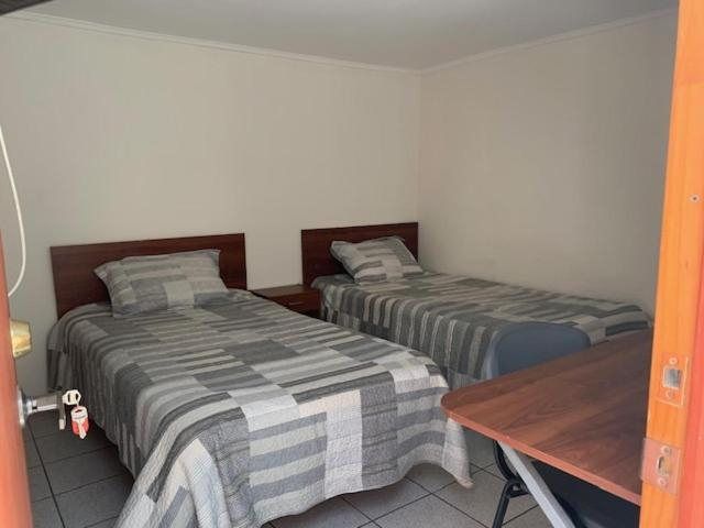 Others 4, Homerent, Ñuble