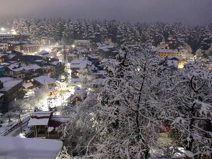 Others 4, Hotel Ambika Bliss Manali, Kullu
