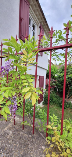 Others 5, Chambres d'hotes "Le Colombier", Vaucluse