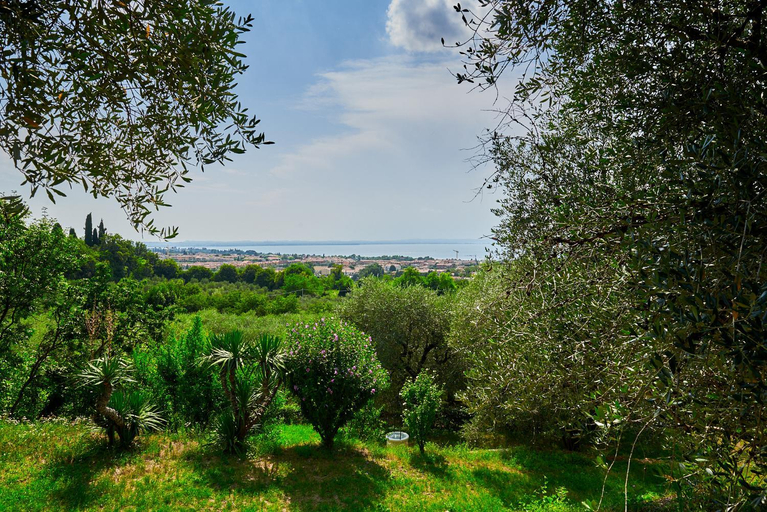 Others 2, Appartamenti Hopfen Lazise, Verona