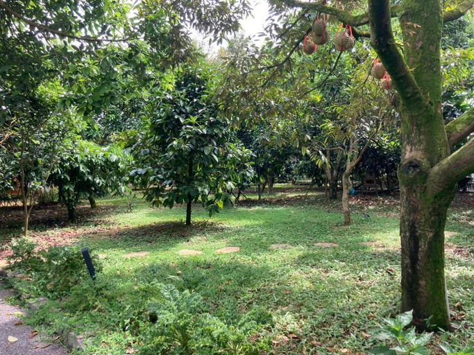 Scenery 18