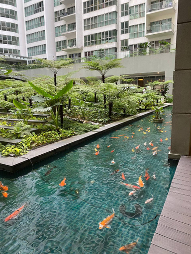 Others 5, Infinity pool dorm by Regalia, Kuala Lumpur