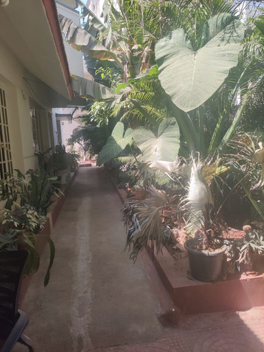 Others 4, AKSHATHA HOME STAY, Bangalore