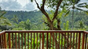 Scenery 8