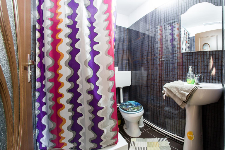 Bathroom 3, Casa de vacanta Jeny, Novaci